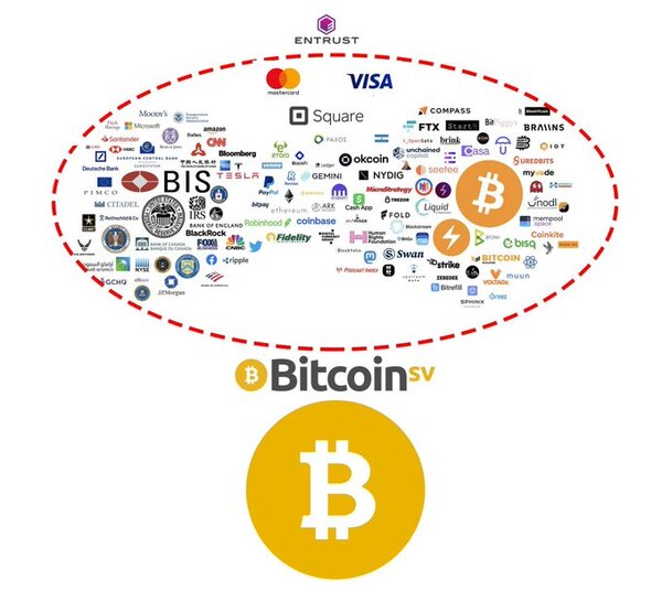 You’re either with the global ruling class of controlled opposition or you’re with #BSV. 
That’s it…