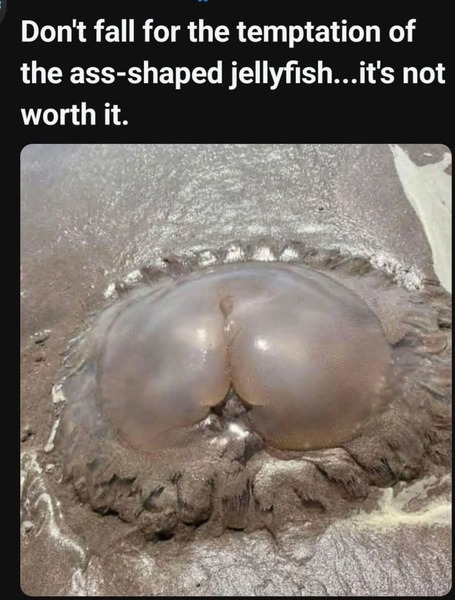 😅