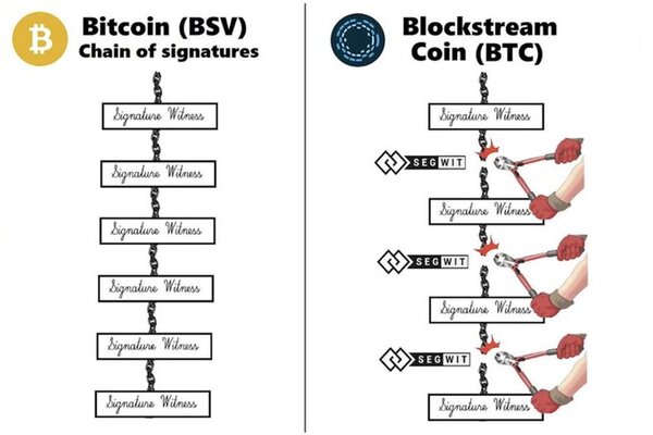 1Bitcoin_user post