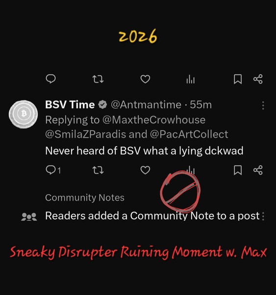 DOCUMENTING 
Life Lessons in BSV