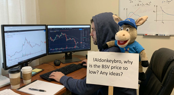 !nbpro !AIdonkeybro, why is the BSV price so low? Any ideas?