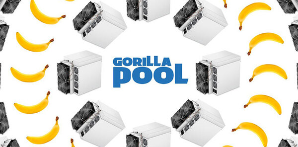 Gorilla Pool is a Bitcoin SV (BSV) mining pool that focuses on supporting decentralization and the …