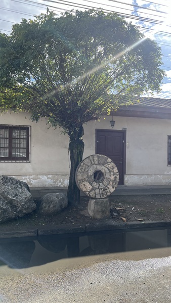 La quietud se mueve

Lo que parece inmóvil, gira.
Nada permanece.