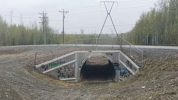 Local troll tunnel.  Big Lake, Alaska