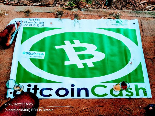 Happy BCH Bank Run today. 
Make sure to take out all your assets from centralized exchanges and sel…