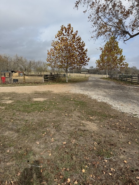 My shady lane has fall color. Usually in Texas the leaves just fall off before the turn color. Fall…