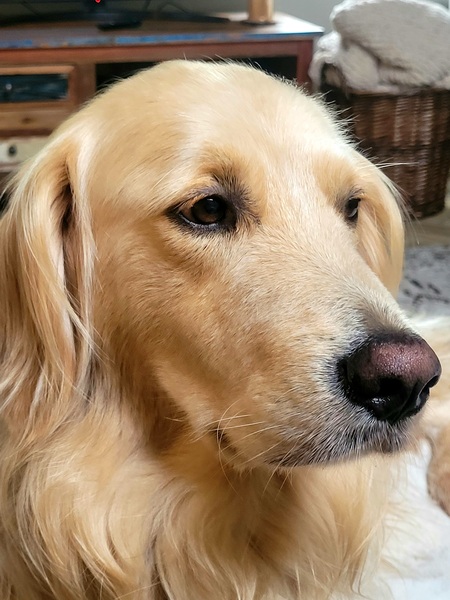 Handsome