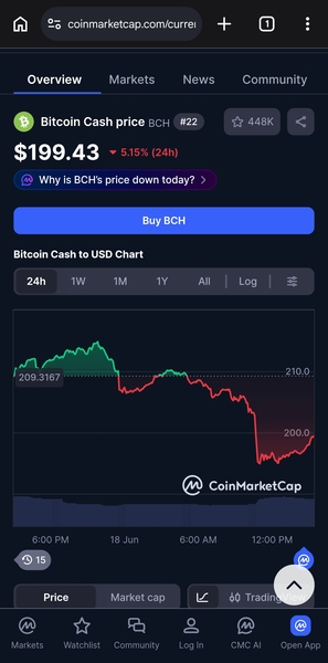 Bitcoin is taking back the true meaning of bitcoin💛