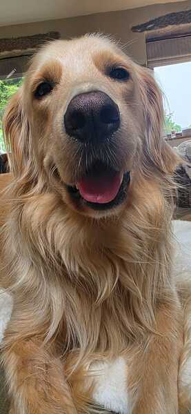 SMILEY BOY
