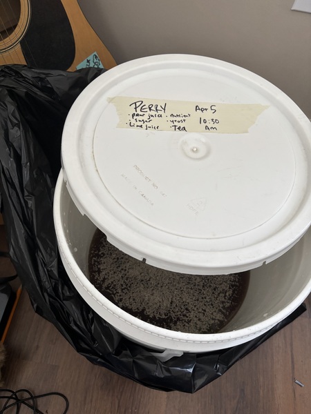 My Birthday treat.  I haven’t made any home brew in many years but traditionally spring time is whe…