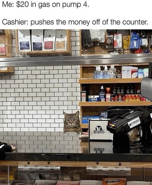 Slashvi post