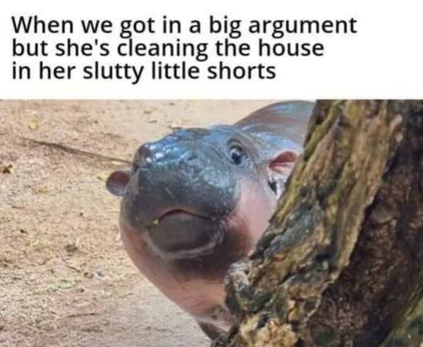 Slashvi post