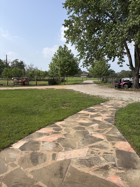 This is my shady lane. Four on the left. Three on the right. Newest one go off to the left along th…