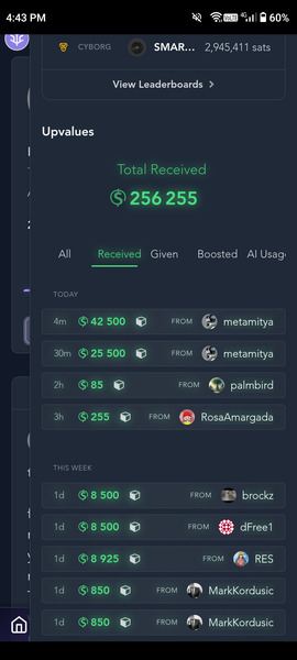 I shoes me this balance what is this? do you know?