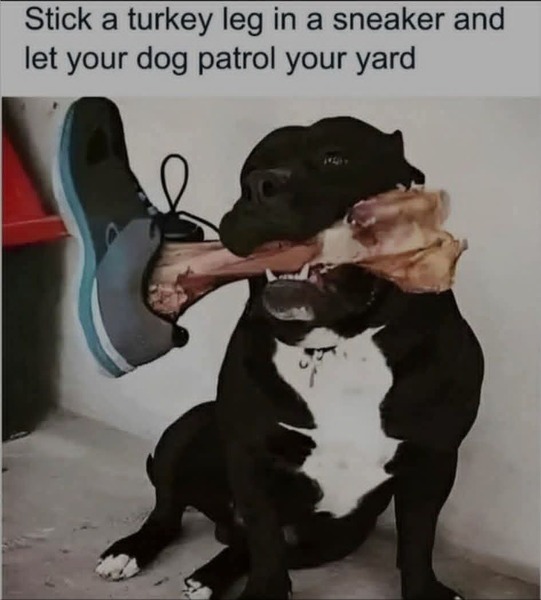 BsvGodfather post