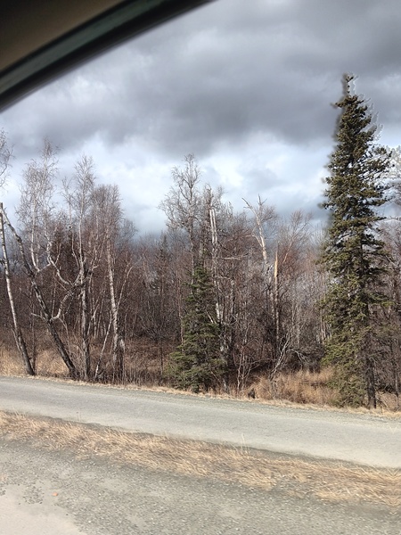 Alaska is so moody today.