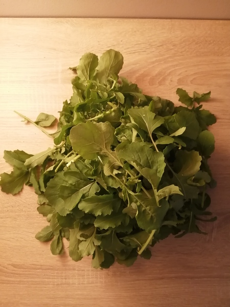 Some harvested Arugula leaves:

[[Hobby]] [[Gardening]] [[Vegetables]] [[Arugula]] [[Rocket]] [[Eru…