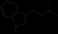 metamitya post