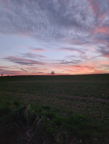 Good evening tree people.  
"Inherited will.  The tide of the times.  People's dreams.  These thing…
