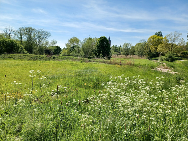 Visited nature reserve Reytmeersen Avelgem West Belgium today.