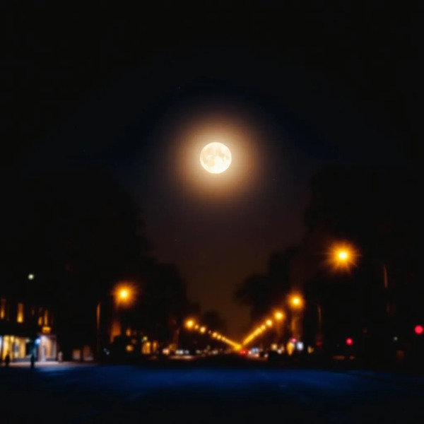 Good night 🌉 !flux