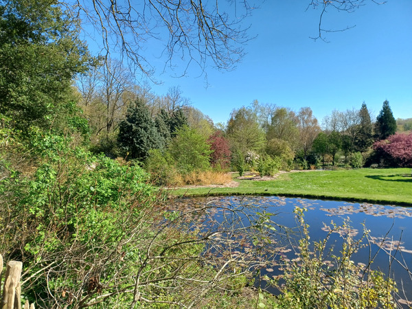 Tiegem forest today.
One of the ponds.