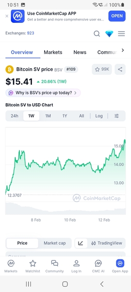 BSV price going up ...