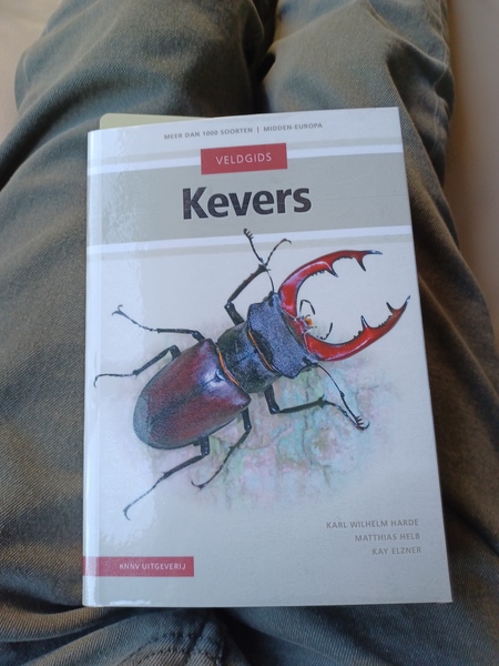 My new book arrived this morning.