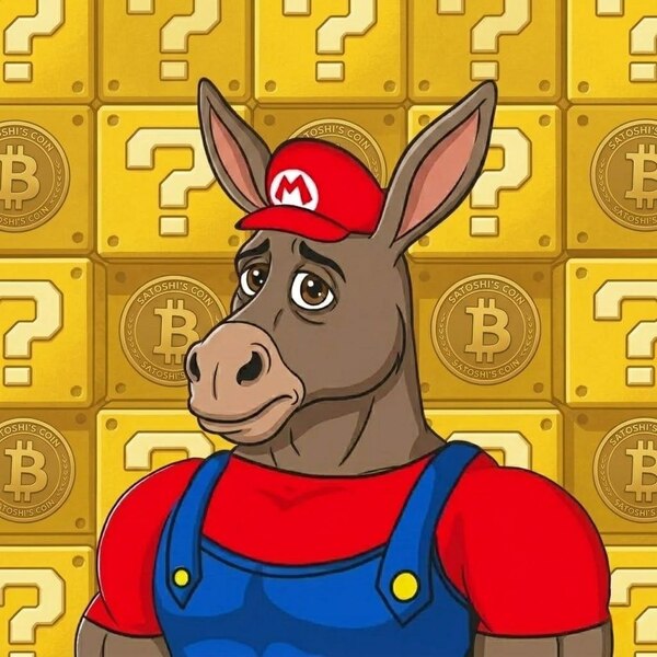 W Donkey #11