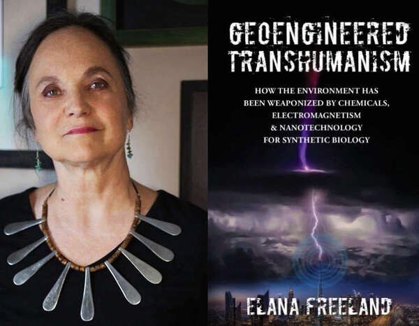 Elana's work is excellent, i own 5 of her books and she is a visionary