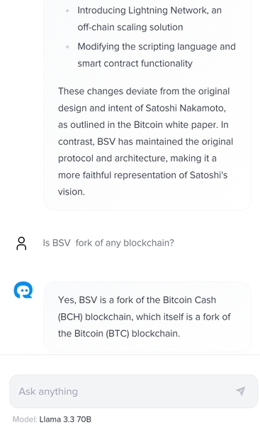 BigBlocksBoss post
