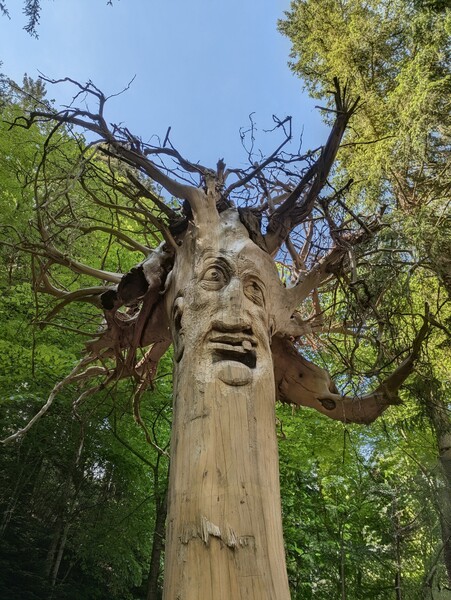 chatted with this tree
[[pxlpix]]