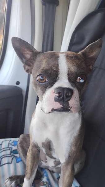 This is Jackie.