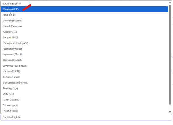 There's a Chinese option. You can see in this image.