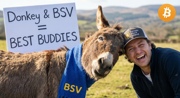 !nbpro Donkey is BSV's best friend!