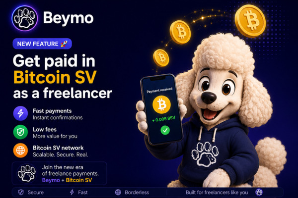 BSV is Bitcoin and it's changing our world 🐉