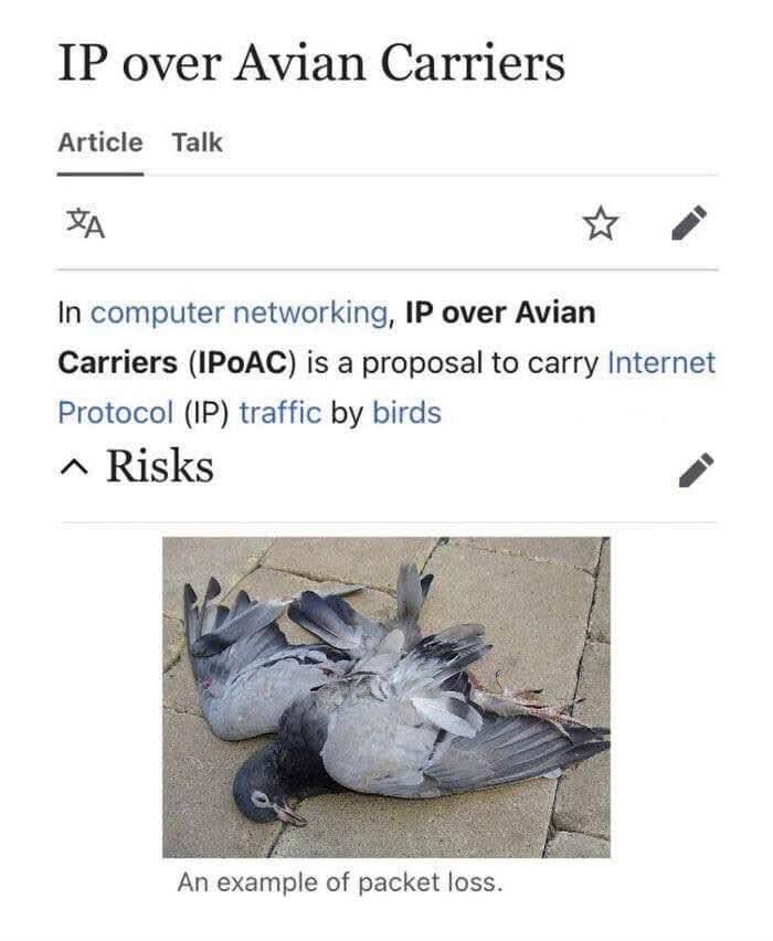 Dividebyzero post