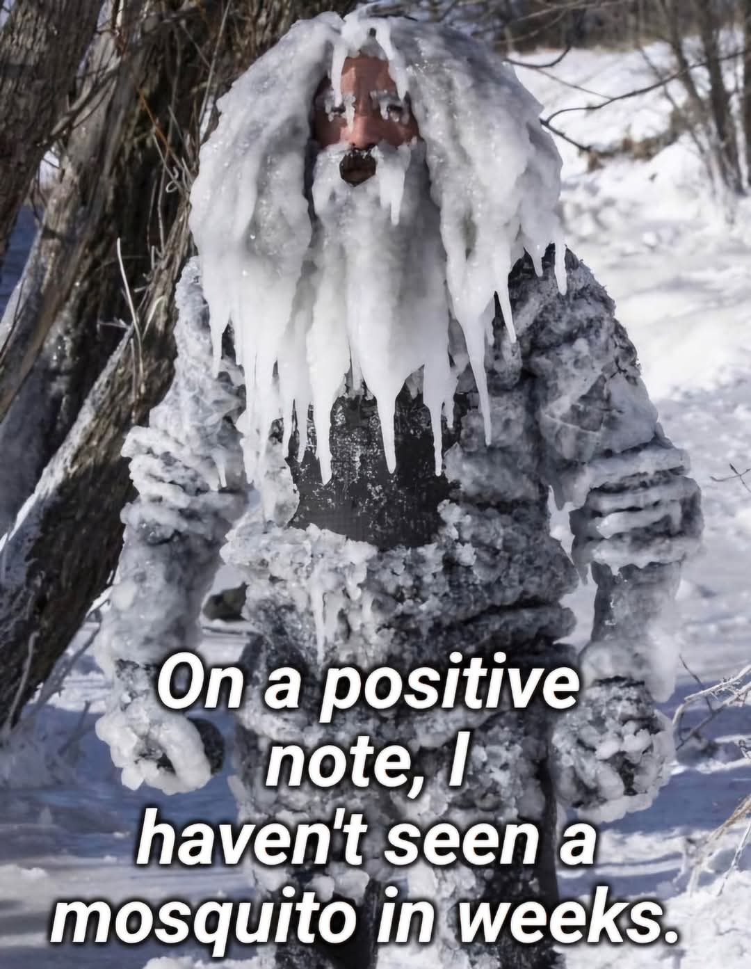 spacepirate33 post