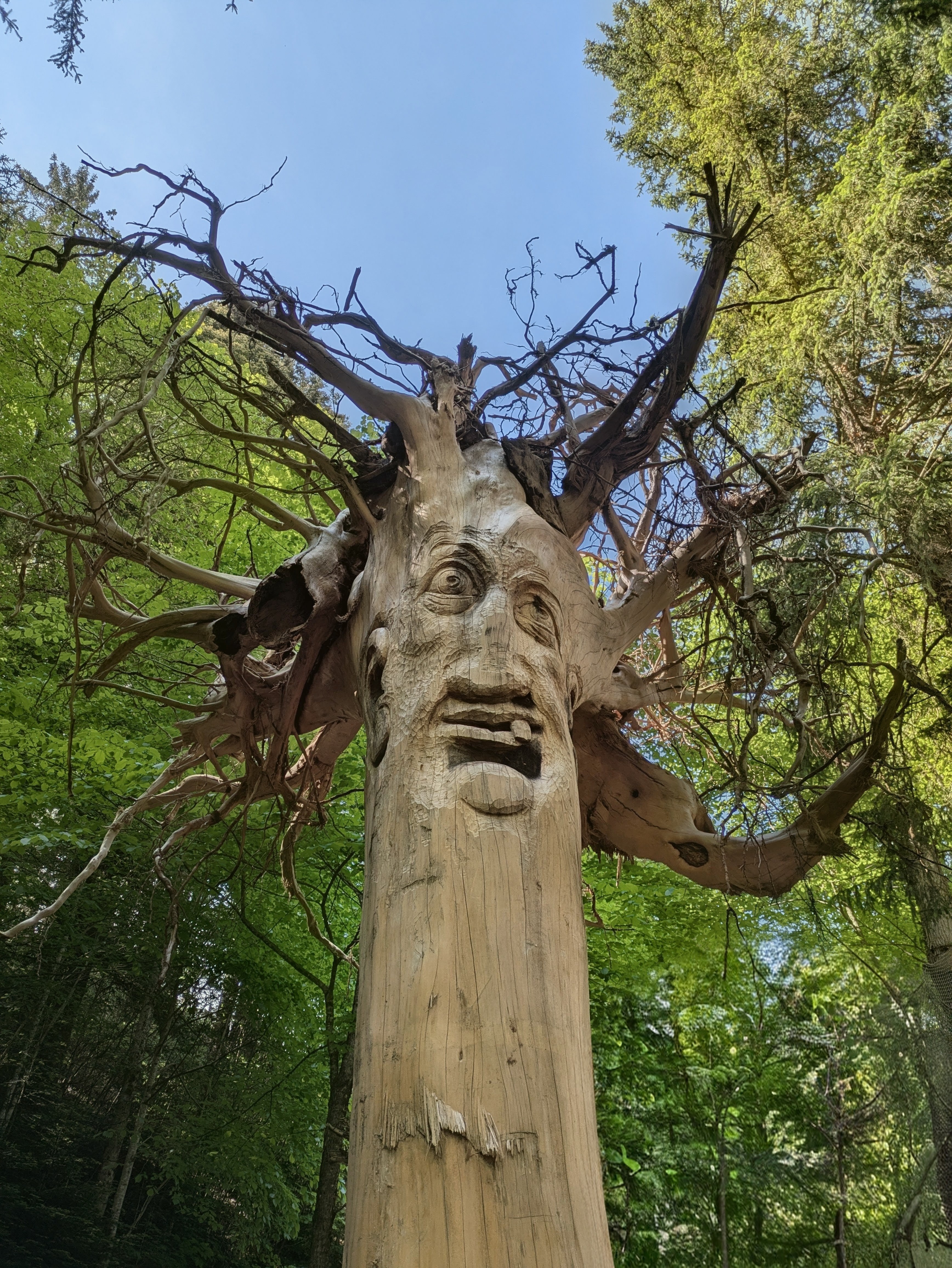 chatted with this tree
[[pxlpix]]