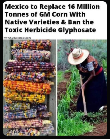 Slikmov post