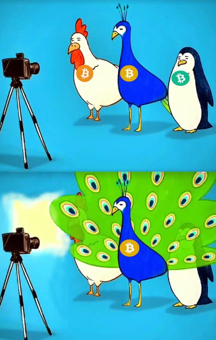 1Bitcoin_user post