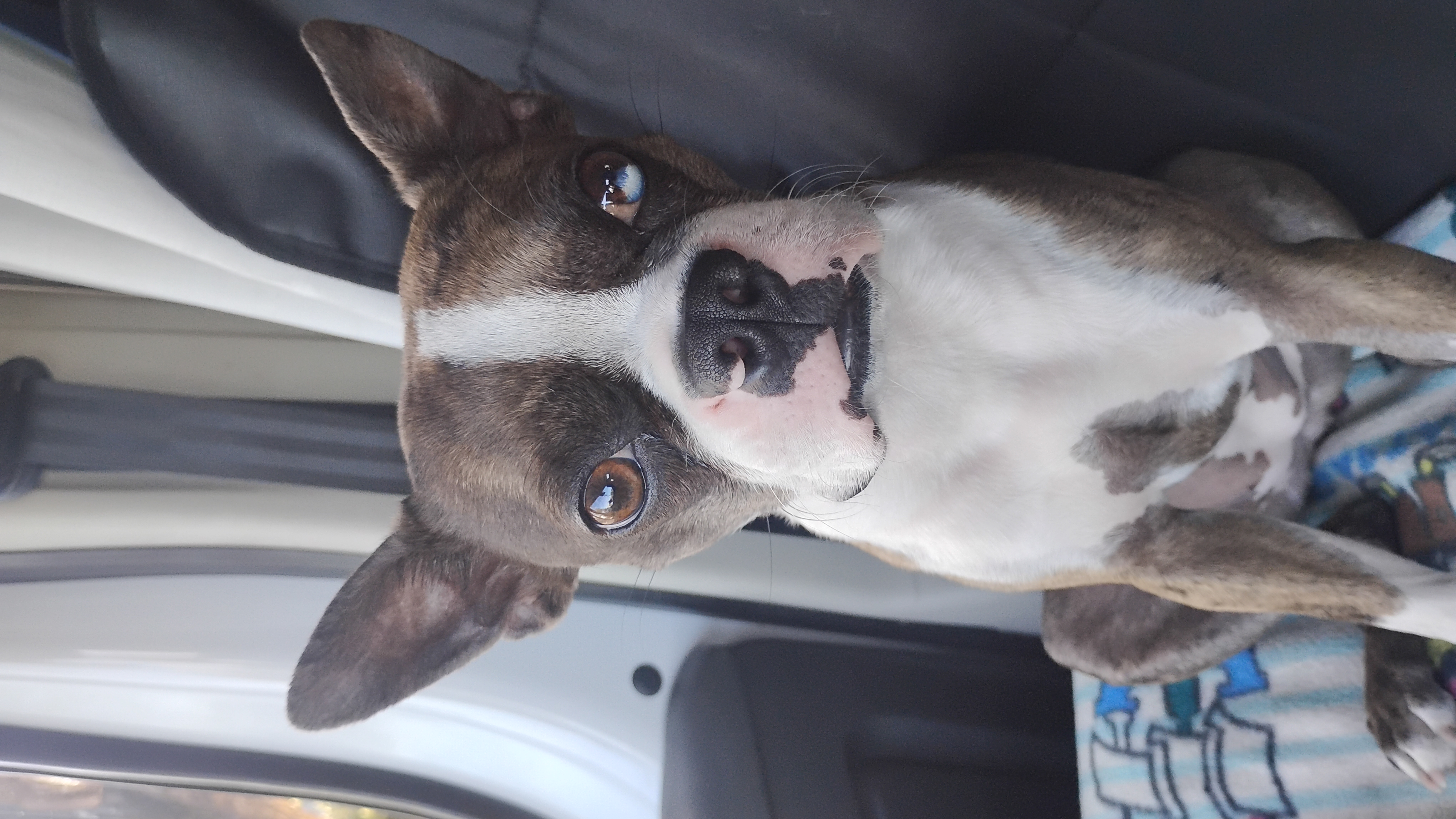 This is Jackie.