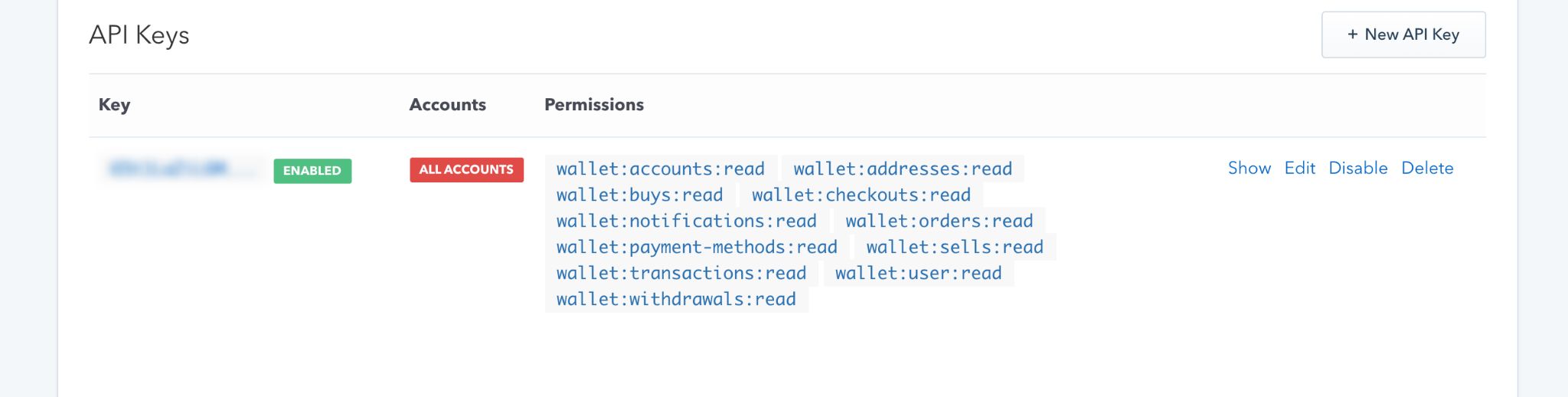 Example of a created API Key