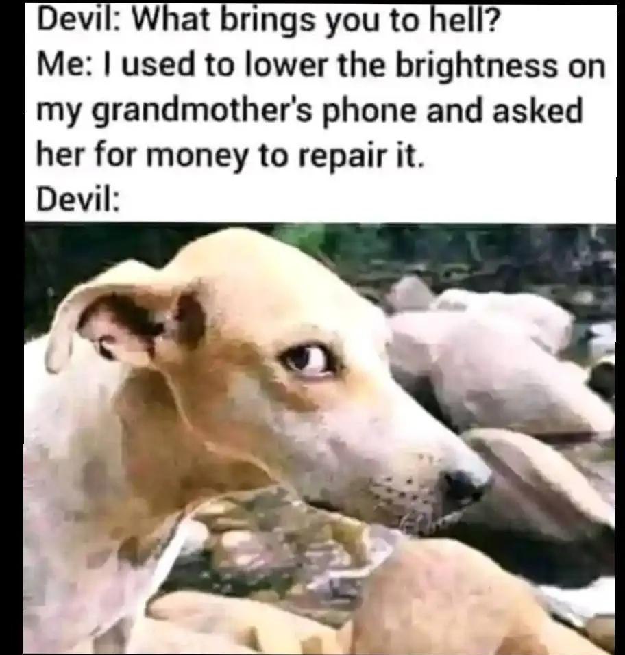 #meme