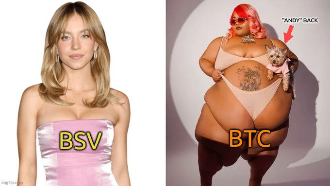 BSVanon post