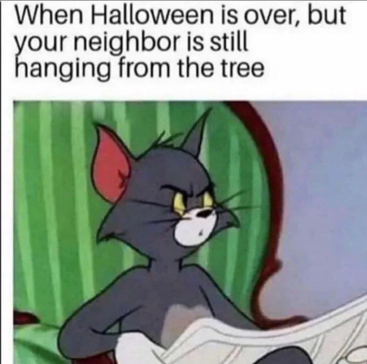 Slashvi post