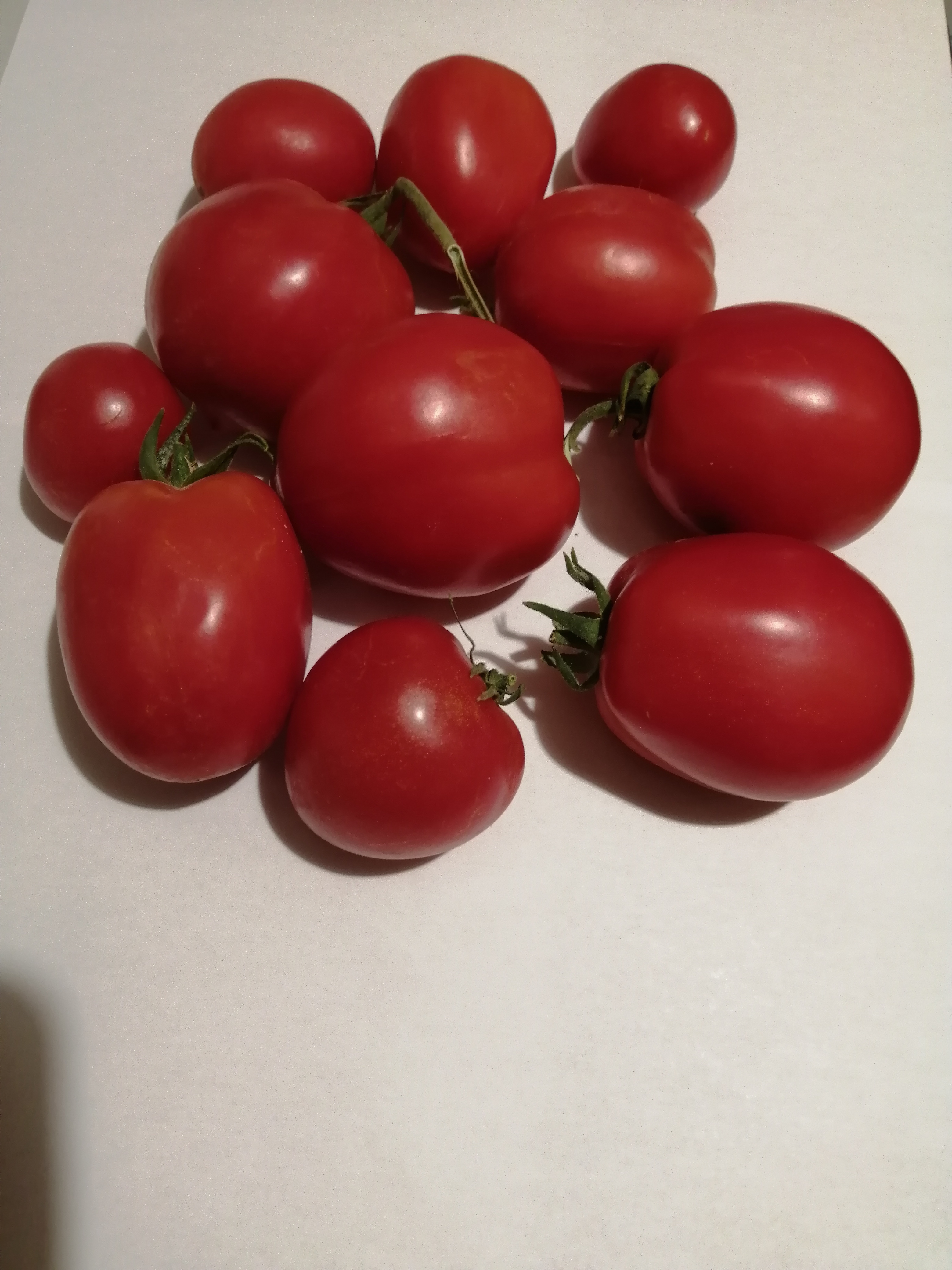 This is the third "batch" of tomatoes that are red enough to be picked and consumed. We had already…