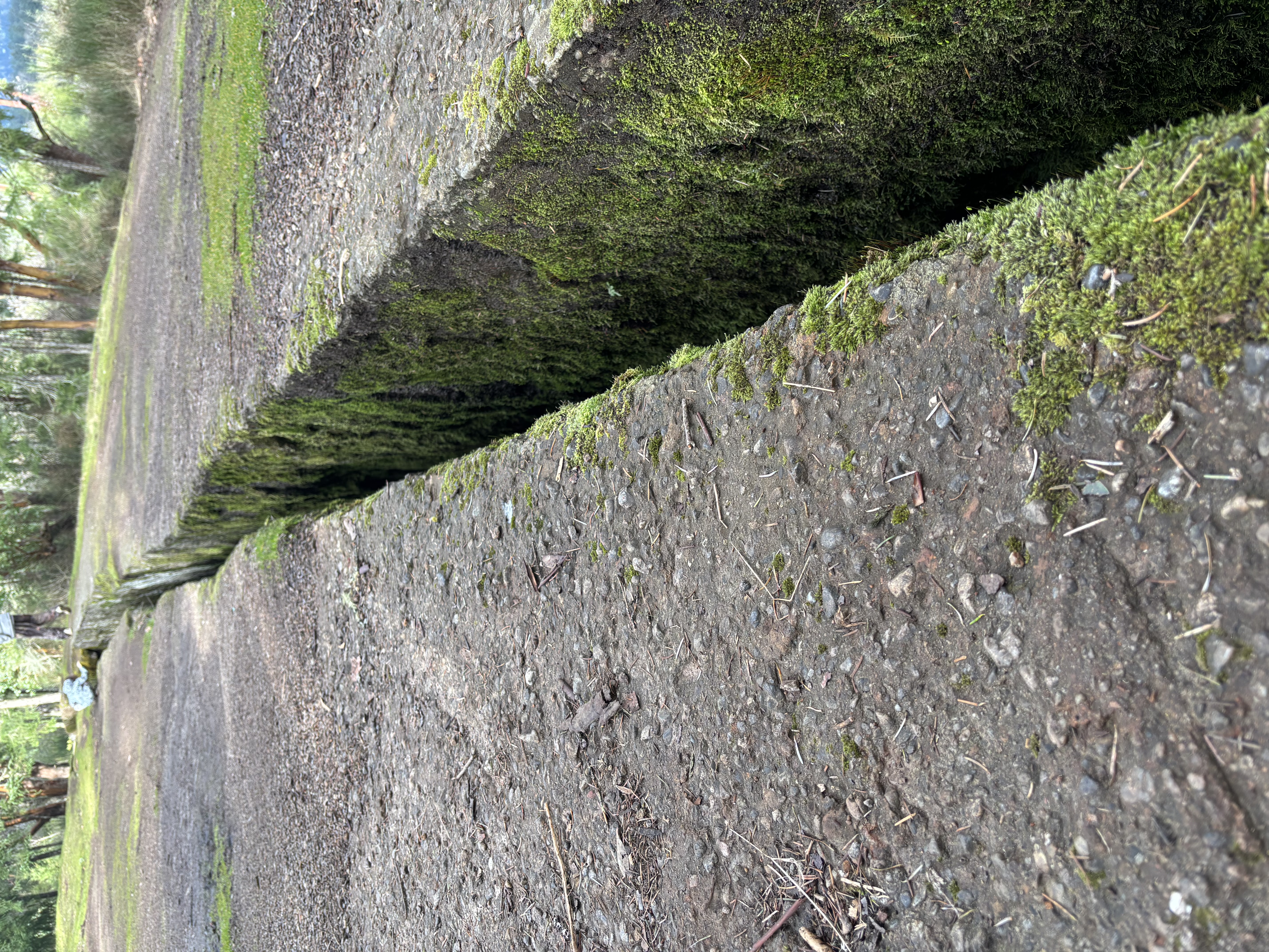 This immense fissure is known locally as “THE ABYSS” and it’s one of our favorite places to go for …