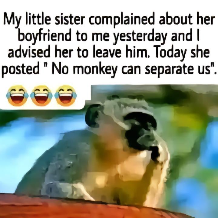 Slashvi post