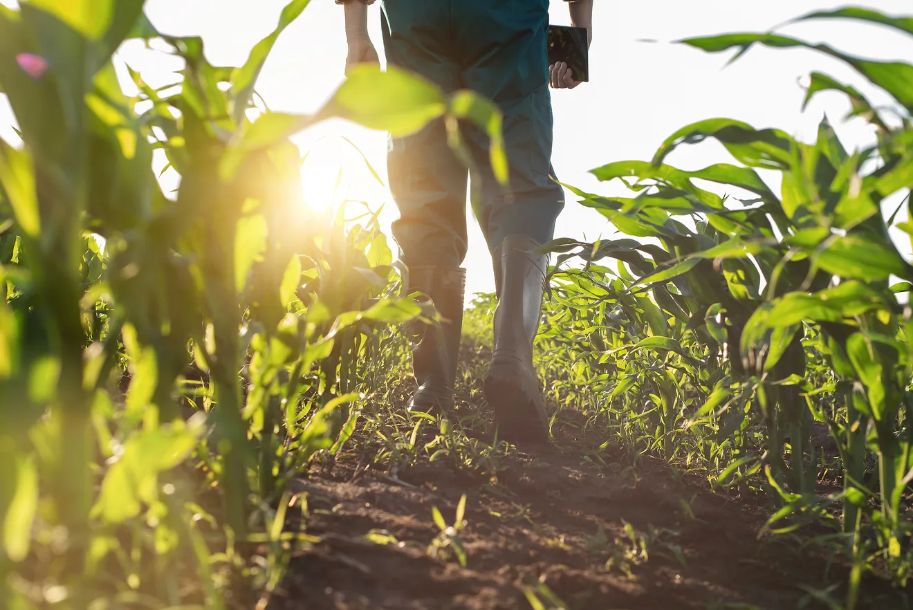 Grow2Go is my idea of creating a platform which allows ease-of-access for real, truthfully organic …